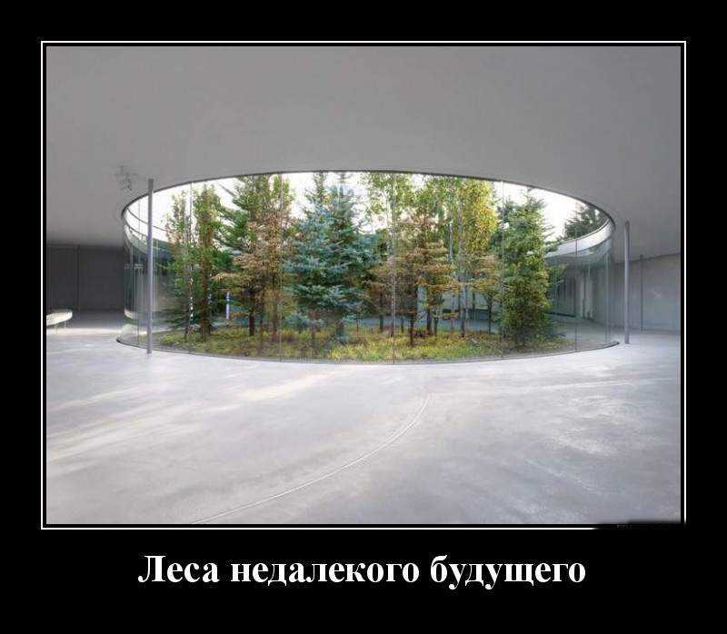 Podborka luchshikh demotivatorov 526 076